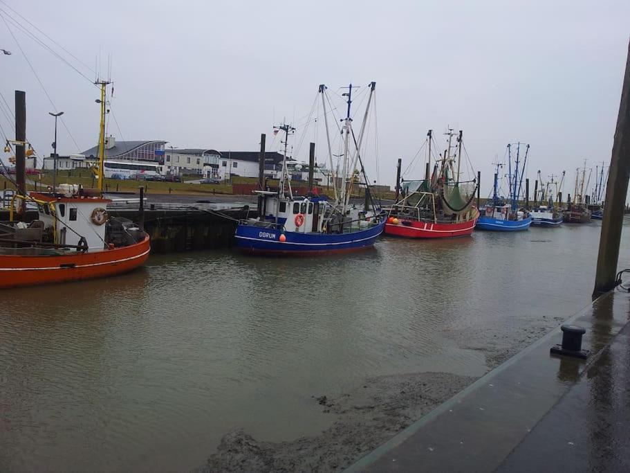 דורום נויפלד Nordsee Und Natur. Gemuetliche Fewo Mit Deichblick מראה חיצוני תמונה